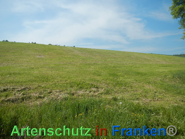 Bild zum Eintrag (1006981-160)