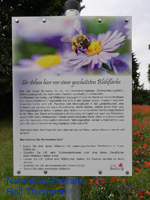 © Artenschutz in Franken® Rolf Thiemann Bild zum Eintrag (1012364-160)