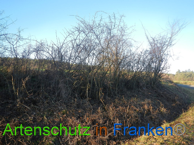 Bild zum Eintrag (1017152-160)