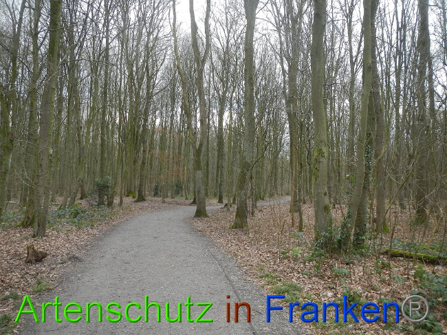 Bild zum Eintrag (1020060-160)