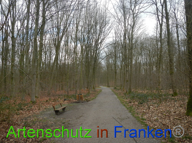 Bild zum Eintrag (1020067-160)