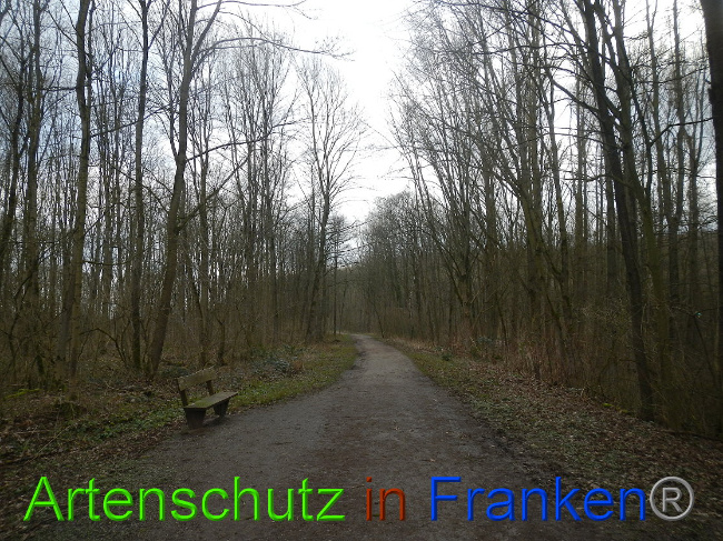 Bild zum Eintrag (1020080-160)