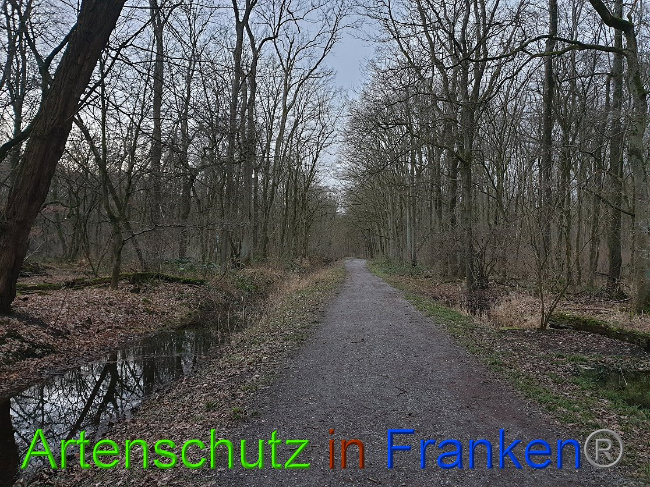 Bild zum Eintrag (1020083-160)