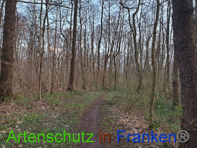 Bild zum Eintrag (1020089-160)