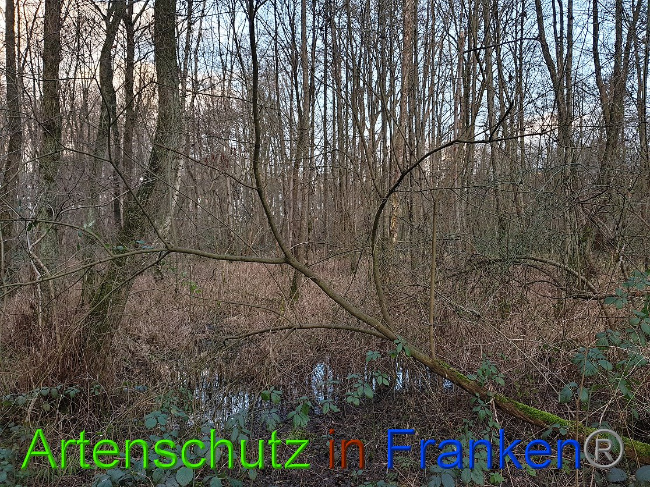 Bild zum Eintrag (1020101-160)