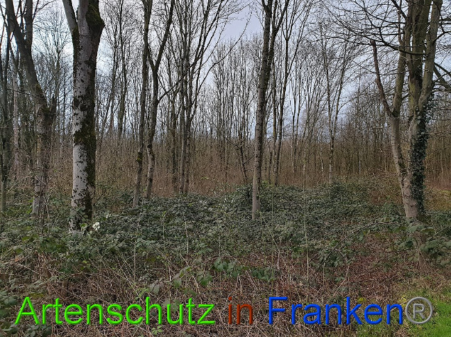 Bild zum Eintrag (1020102-160)