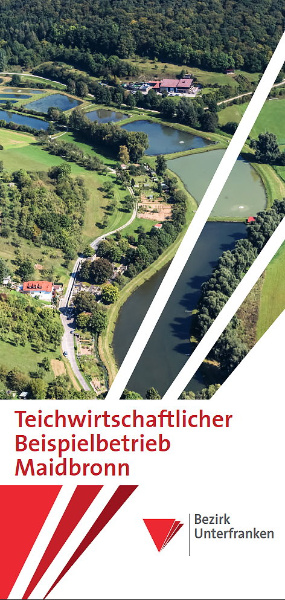 Bild zum Eintrag (102421-160)