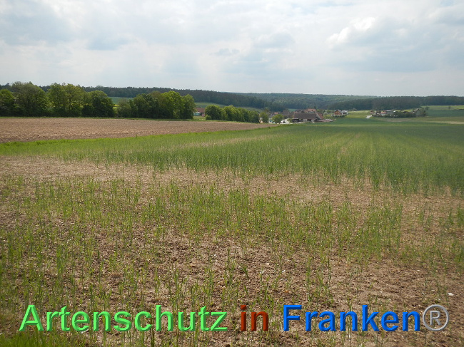 Bild zum Eintrag (1025020-160)