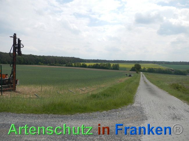 © Artenschutz in Franken® Bild zum Eintrag (1025042-160)