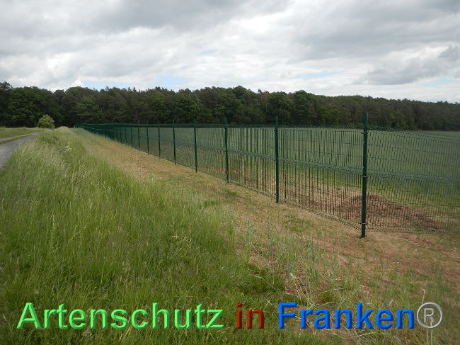 © Artenschutz in Franken® Bild zum Eintrag (1025125-160)