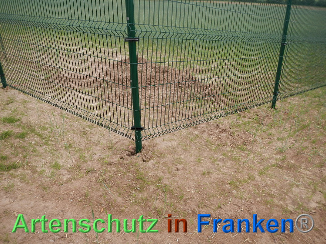 © Artenschutz in Franken® Bild zum Eintrag (1025127-160)