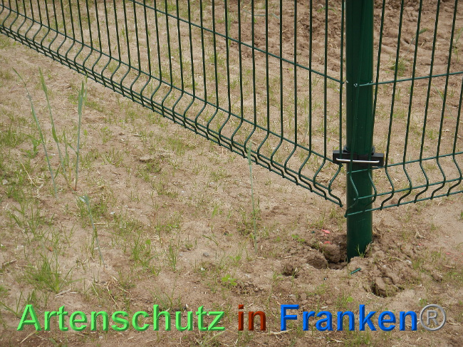 © Artenschutz in Franken® Bild zum Eintrag (1025128-160)