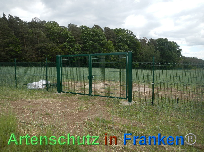 © Artenschutz in Franken® Bild zum Eintrag (1025131-160)
