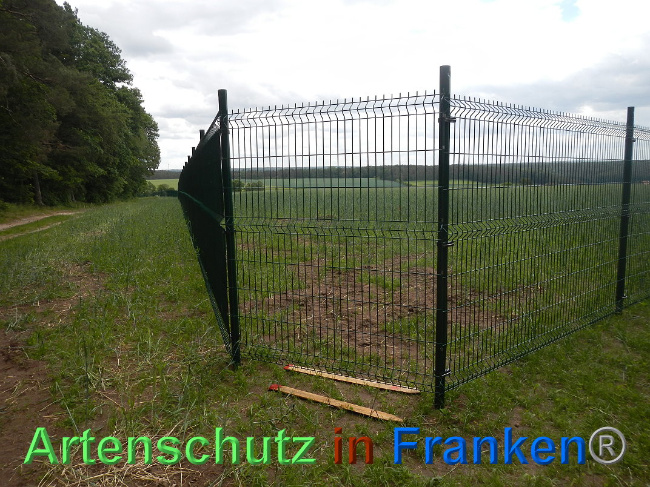 © Artenschutz in Franken® Bild zum Eintrag (1025132-160)