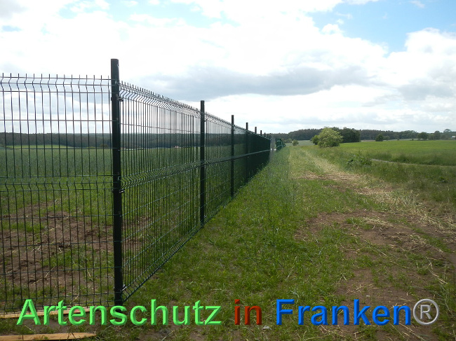 © Artenschutz in Franken® Bild zum Eintrag (1025133-160)