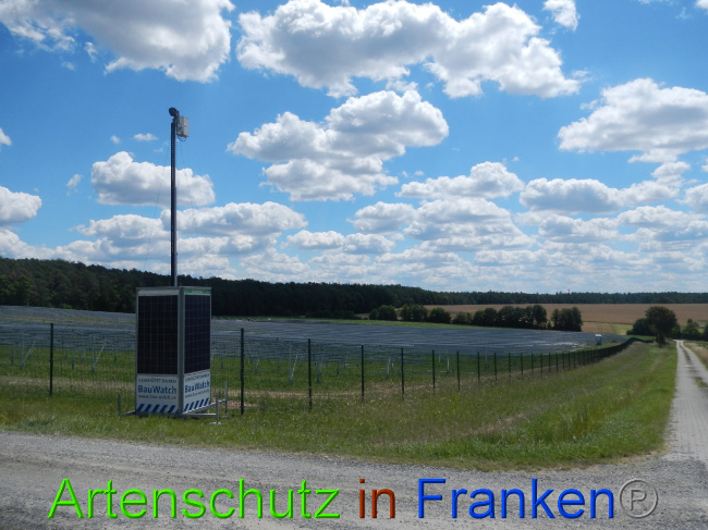 © Artenschutz in Franken® Bild zum Eintrag (1028205-160)