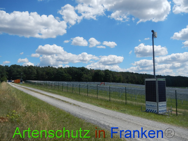 © Artenschutz in Franken® Bild zum Eintrag (1028206-160)