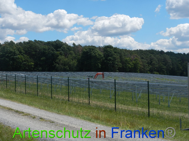 © Artenschutz in Franken® Bild zum Eintrag (1028208-160)