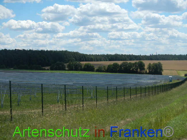 © Artenschutz in Franken® Bild zum Eintrag (1028209-160)