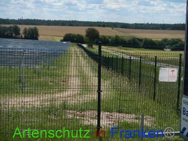 © Artenschutz in Franken® Bild zum Eintrag (1028210-160)
