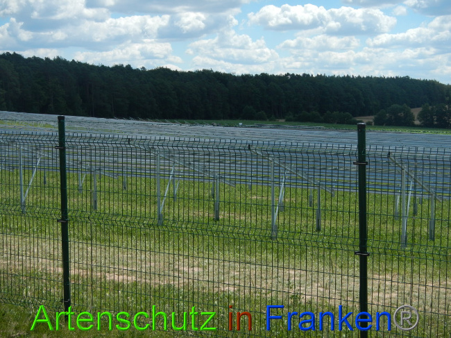 © Artenschutz in Franken® Bild zum Eintrag (1028212-160)