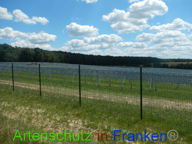 © Artenschutz in Franken® Bild zum Eintrag (1028213-160)