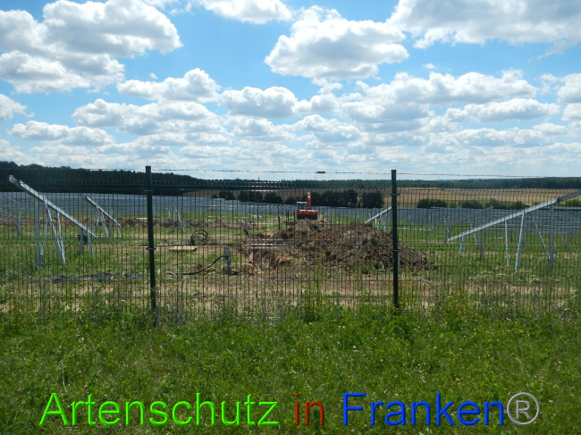 © Artenschutz in Franken® Bild zum Eintrag (1028214-160)