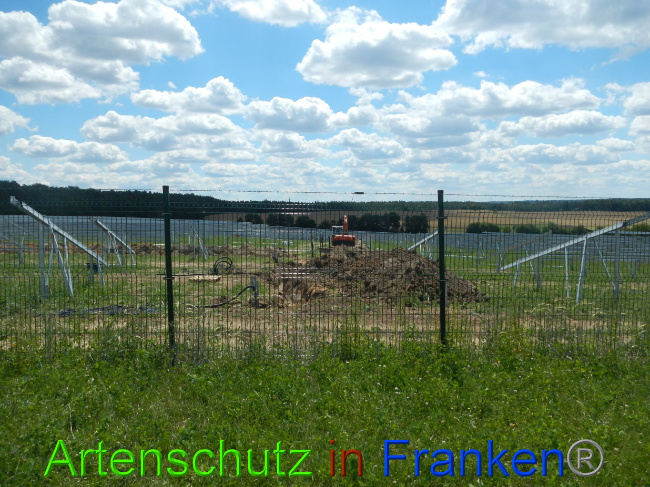 Bild zum Eintrag (1028214-160)