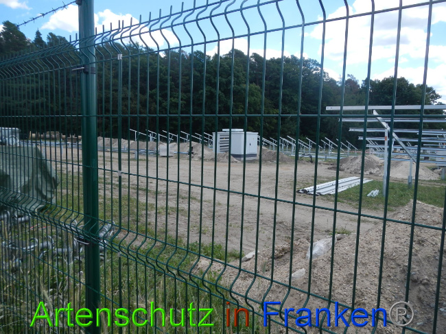 © Artenschutz in Franken® Bild zum Eintrag (1028217-160)