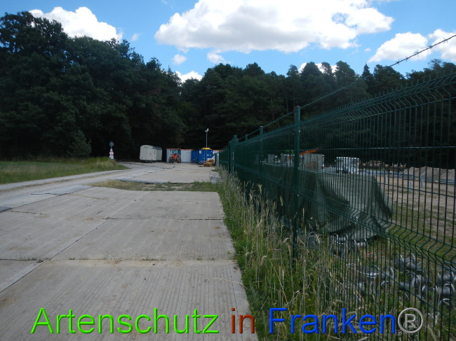 © Artenschutz in Franken® Bild zum Eintrag (1028218-160)