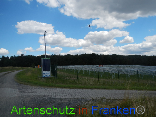 © Artenschutz in Franken® Bild zum Eintrag (1028219-160)