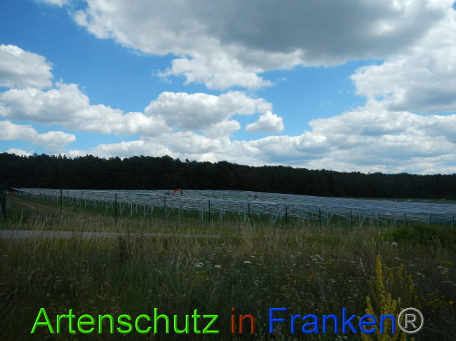 © Artenschutz in Franken® Bild zum Eintrag (1028223-160)