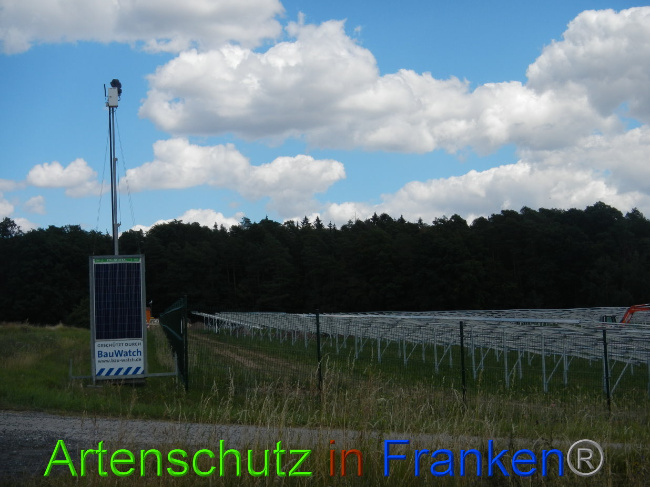 © Artenschutz in Franken® Bild zum Eintrag (1028224-160)