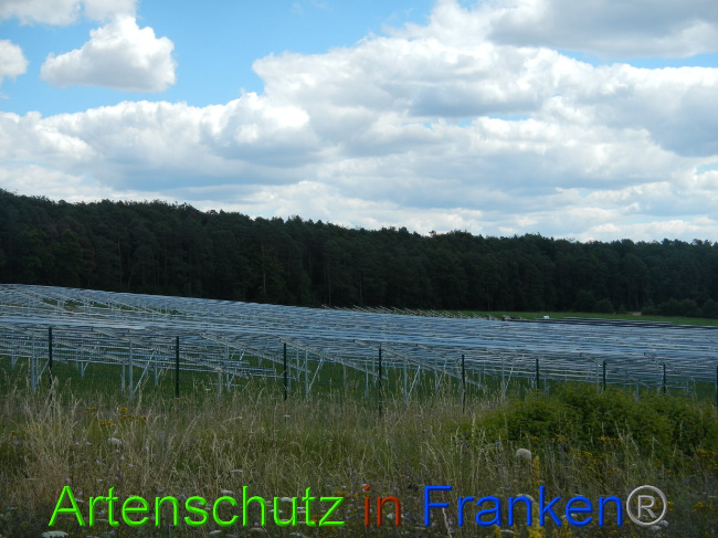 © Artenschutz in Franken® Bild zum Eintrag (1028225-160)