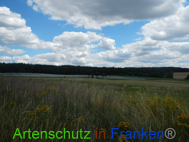 © Artenschutz in Franken® Bild zum Eintrag (1028227-160)