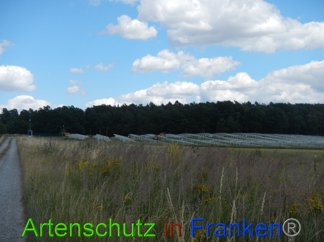 © Artenschutz in Franken® Bild zum Eintrag (1028228-160)