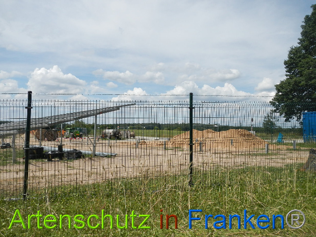 © Artenschutz in Franken® Bild zum Eintrag (1029037-160)