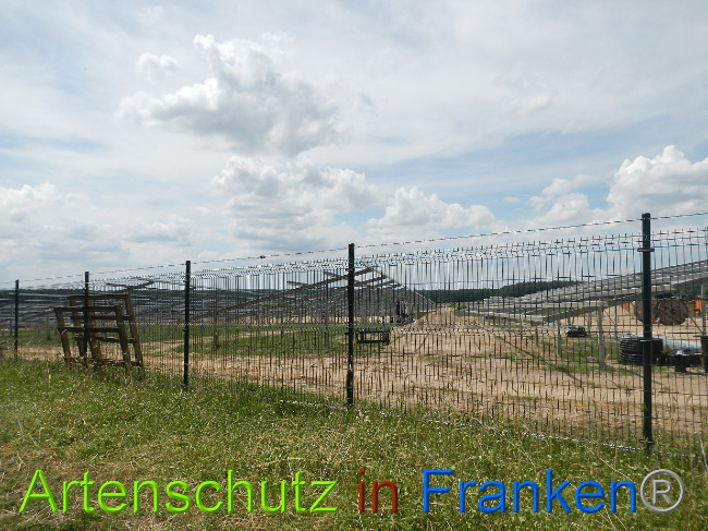 © Artenschutz in Franken® Bild zum Eintrag (1029038-160)