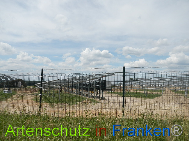 © Artenschutz in Franken® Bild zum Eintrag (1029041-160)