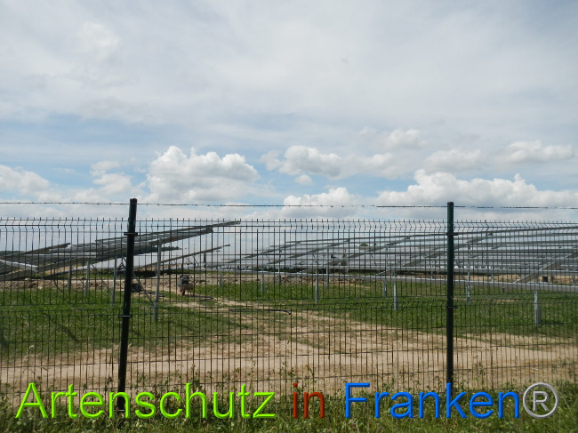 © Artenschutz in Franken® Bild zum Eintrag (1029042-160)
