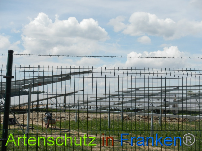 © Artenschutz in Franken® Bild zum Eintrag (1029043-160)