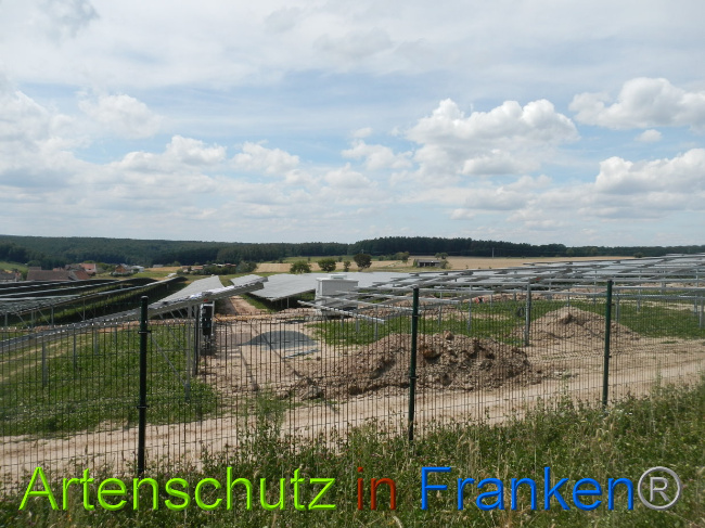 © Artenschutz in Franken® Bild zum Eintrag (1029045-160)