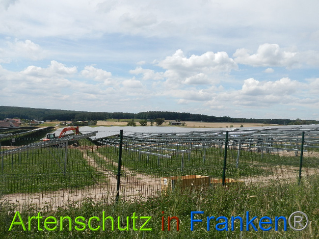 © Artenschutz in Franken® Bild zum Eintrag (1029048-160)