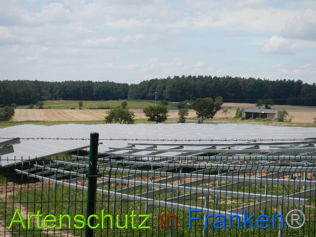 © Artenschutz in Franken® Bild zum Eintrag (1029049-160)