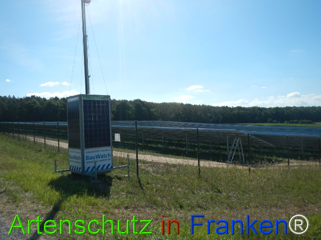 © Artenschutz in Franken® Bild zum Eintrag (1029714-160)