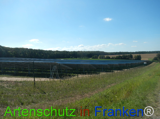 © Artenschutz in Franken® Bild zum Eintrag (1029715-160)
