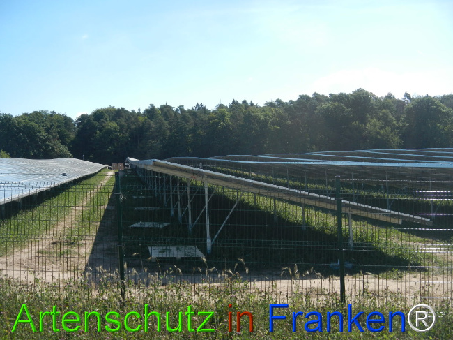 © Artenschutz in Franken® Bild zum Eintrag (1029718-160)