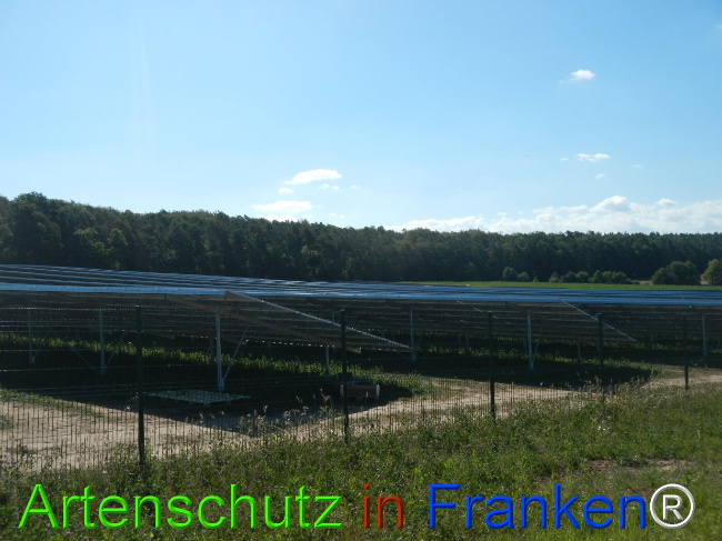 © Artenschutz in Franken® Bild zum Eintrag (1029720-160)