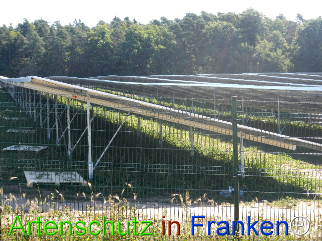 © Artenschutz in Franken® Bild zum Eintrag (1029722-160)