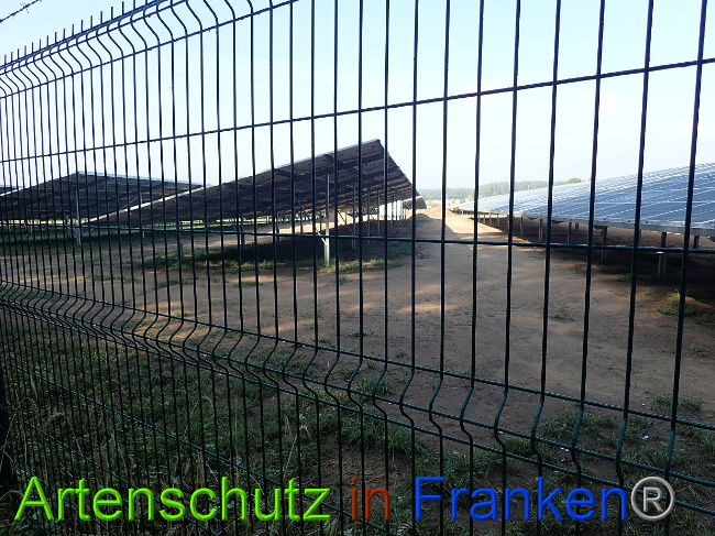 © Artenschutz in Franken® Bild zum Eintrag (1031112-160)